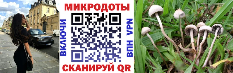Псилоцибиновые грибы GOLDEN TEACHER  KRAKEN зеркало  Нижневартовск 